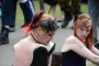Thumbs/tn_Zaterdag Castlefest 2015 206.jpg